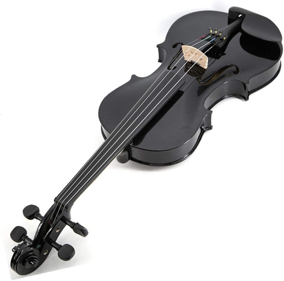 SKY Full Size VN202 Wood Black Violin with Brazilwood Bow and Lightweight Case