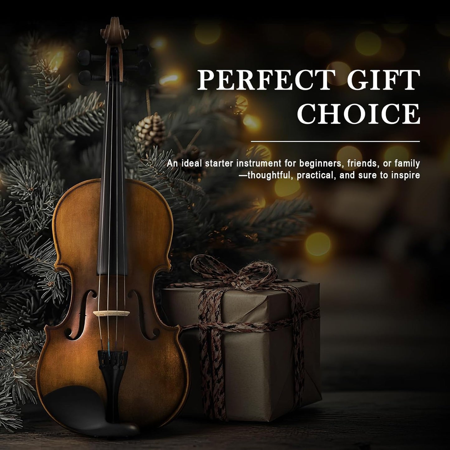 SONICAKE Violin 4/4 Full Size Set, Fiddle Solidwood for Beginners Adults, Acoustic Violin with Hard Case, Shoulder Rest, Rosin, Two Bows, Clip-on Tuner and Extra Strings, QVL-01