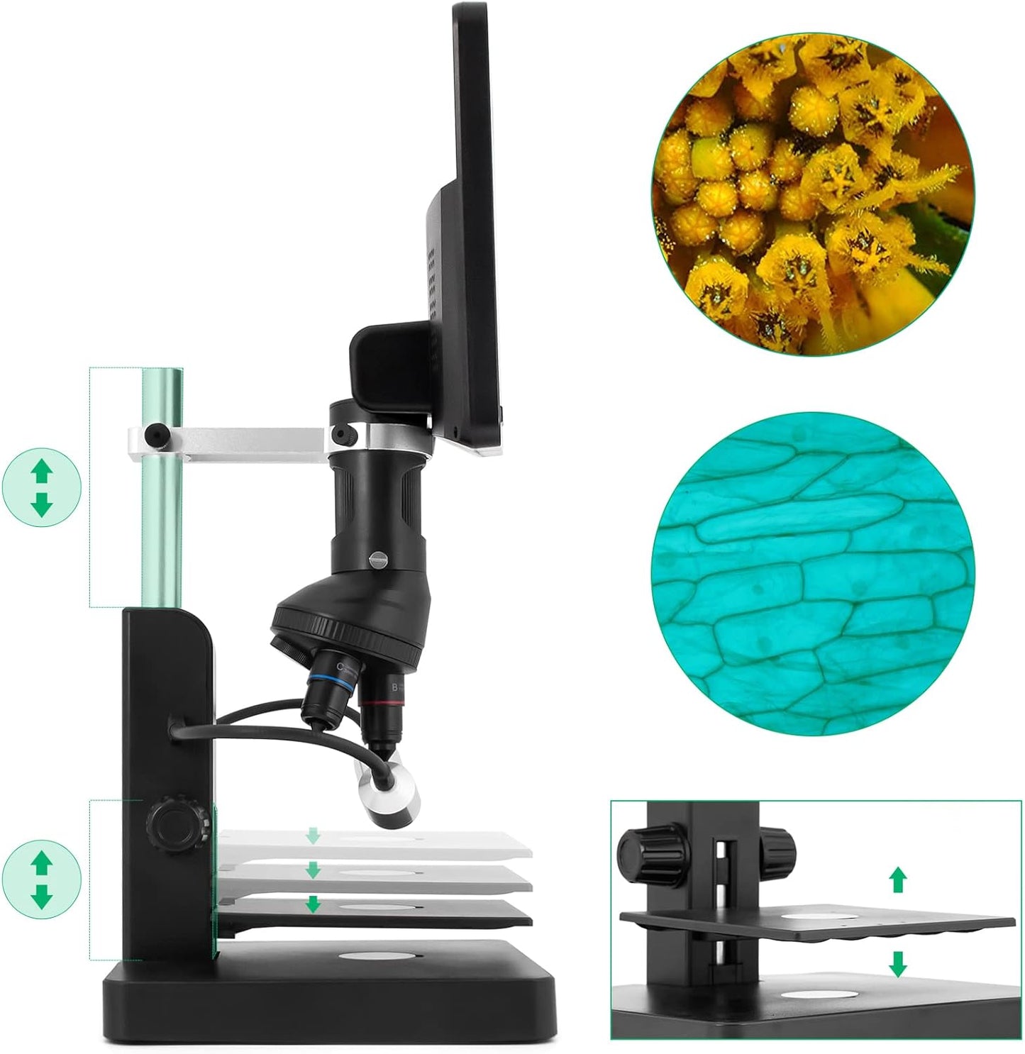 JL246P 3 Lens 7'' LCD Digital Microscope 1000X, Biological Microscope with Prepared Slides for Adults and Kids,12MP for Coin Microscope Full Coin View, 32G Card, Multiple Lights