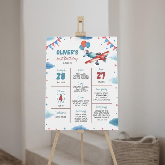 Personalized Airplane Birthday Milestone Poster, Airplane 1St Birthday Milestone Sign, Time Flies Birthday Chalkboard, Design 017