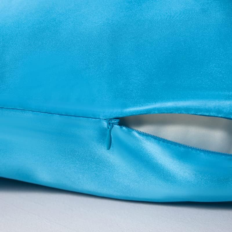 Mulberry Silk Pillowcase for Hair and Skin,Standard Size Cooling Silk Pillow Case with Hidden Zipper,Allergen Proof Dual Sides Soft Breathable Smooth Silk Pillow Cover for Women(Standard,Ice+ Blue)