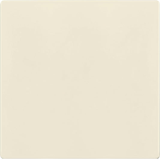 TG Screwless Double Blank Wall Plate, Child Safe Blank Device Outlet Cover, Mid-Size 2-Gang 4.88" H x 4.92" L, Polycarbonate Thermoplastic, UL Listed, SP-MB2-LA, Light Almond (1 Pack)