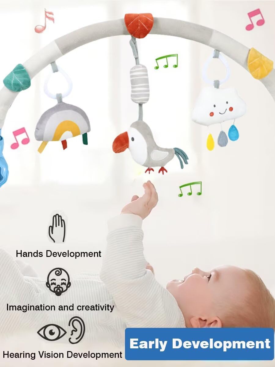 Pau1Hami1ton Baby Stroller Arch Toys, Car Seat Toys,Bouncer Toy Bar.S-19(Bird)
