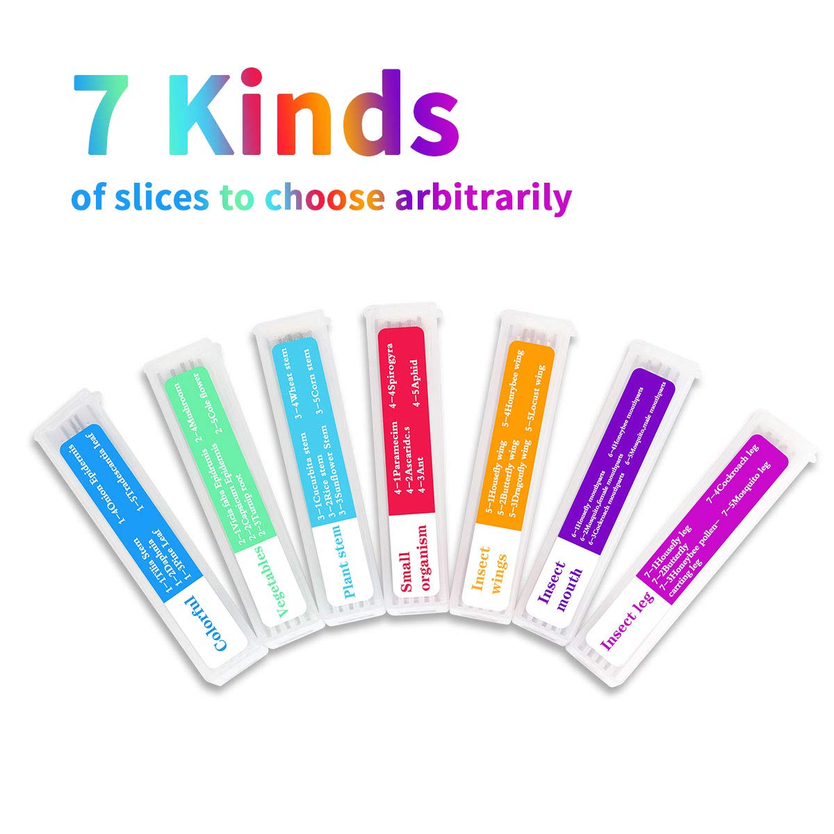 35PCS Prepared Microscope Slides with 7 Types Specimens, Insect/Plant Glass Sample Slide for Kids Adults Family Preschool Education Scientific Enlightenment