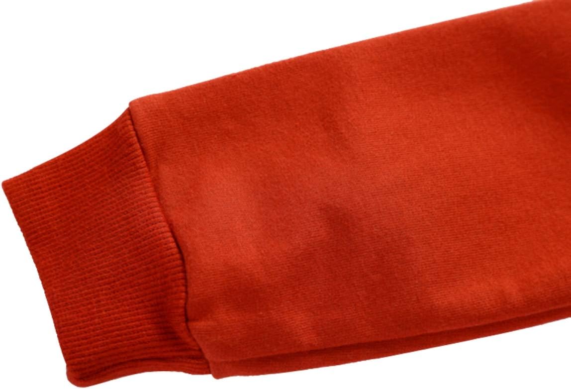 Baby Toddler Boys Dinosaur Hooded Zip Jacket Casual Outerwear Active Sweatshirt