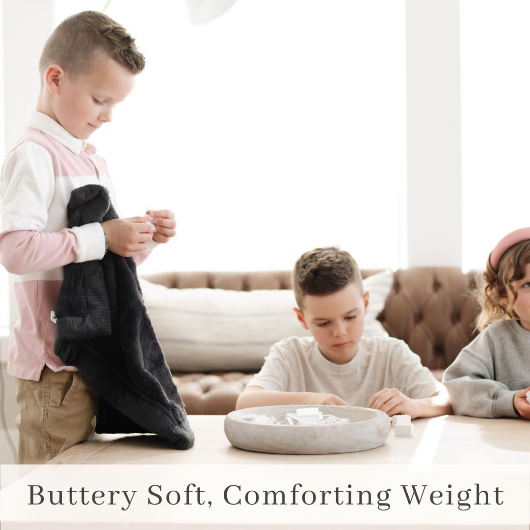 SARANONI Security Blankets for Babies Super Soft Boutique Quality Lush Luxury Baby Blanket (Small, Charcoal)