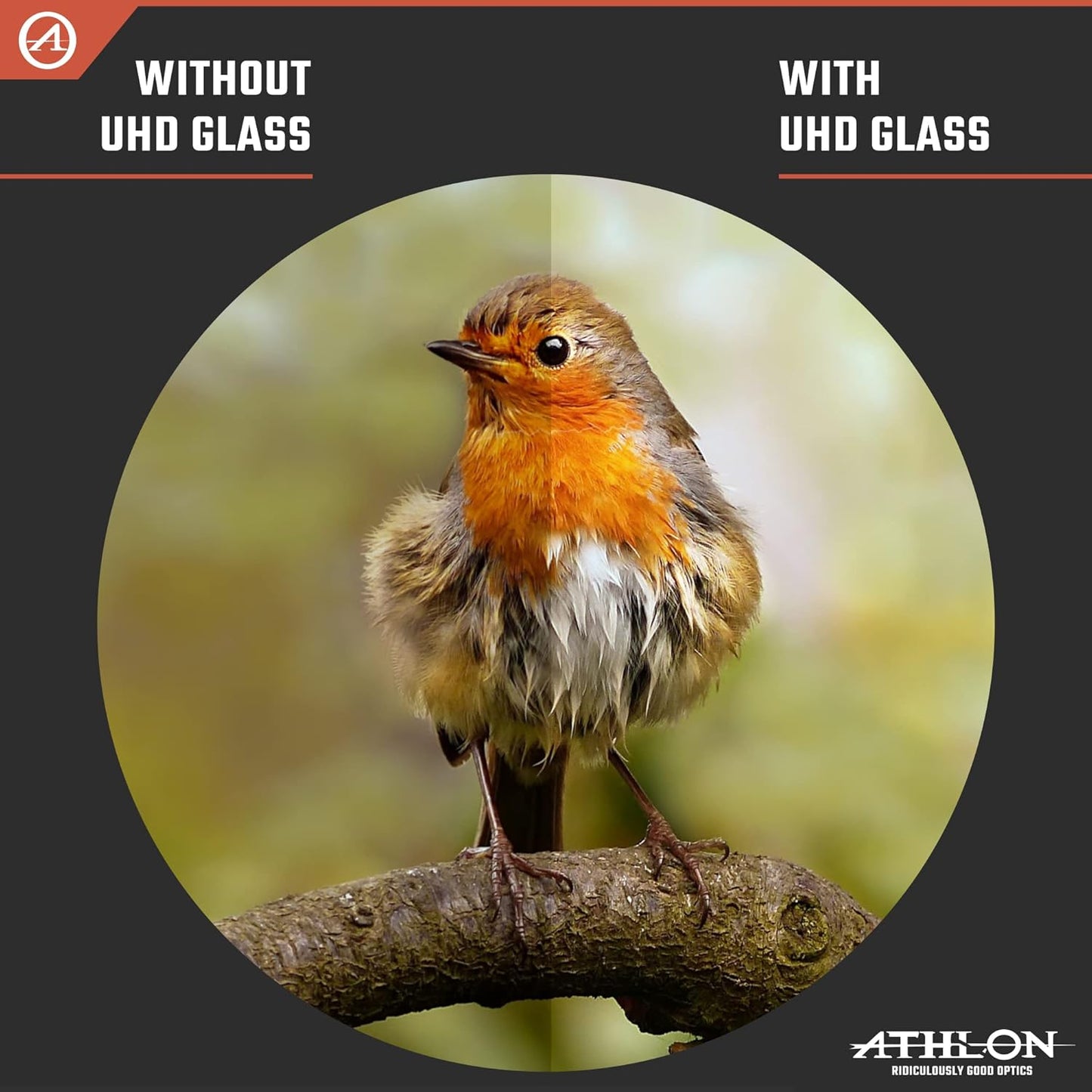 Athlon Optics 10x42 Midas UHD Gray Binoculars with Eye Relief for Adults and Kids, High-Powered Binoculars for Hunting, Birdwatching, and More