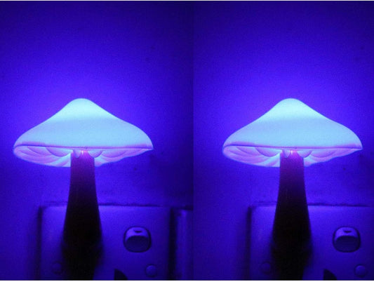 2Pack Sensor LED Night Light Plug in Lamp Mushroom Nightlight Cute Night Lights for Adults Kids Bedroom, Bathroom,Toilet,Hallway,Stairs,Kitchen Blue