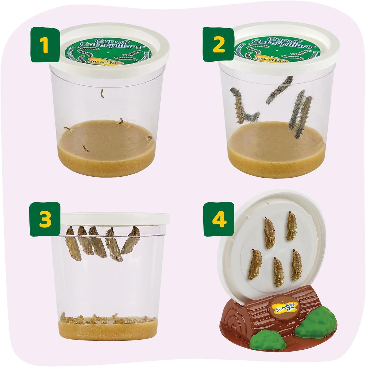 Insect Lore Butterfly Garden with 5 Live Baby Caterpillars - STEM Activity Journal, Habitat, Chrys-A-Lid Holder and Feeder Included | Raise and Release Painted Lady Butterflies