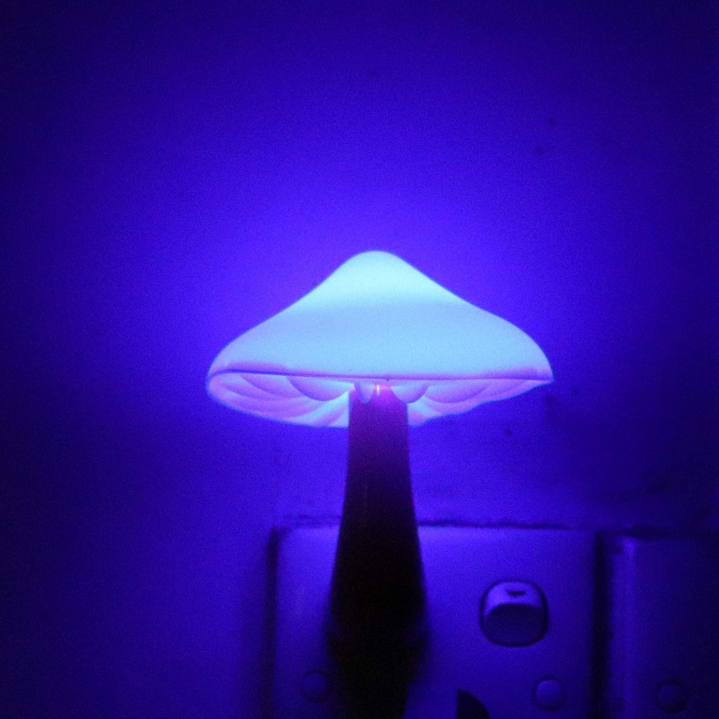 AUSAYE Blue Led Lamp Mushroom Nigh Light,Plug in Nightlight,Sensor Night Lights for Kids Adults Bedroom,Bathroom,Toilet,Stairs,Kitchen,Hallway Christmas Thanksgiving Gifts