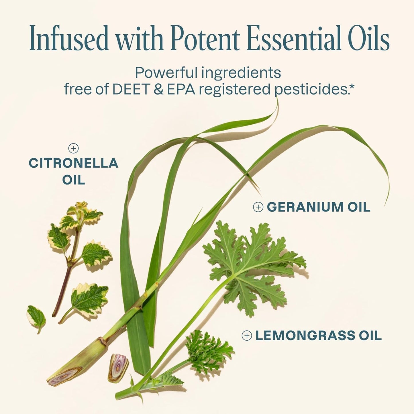 Cliganic 10 Pack Mosquito Repellent Bracelets for Adults & Kids - Natural DEET-Free Bands, Individually Wrapped