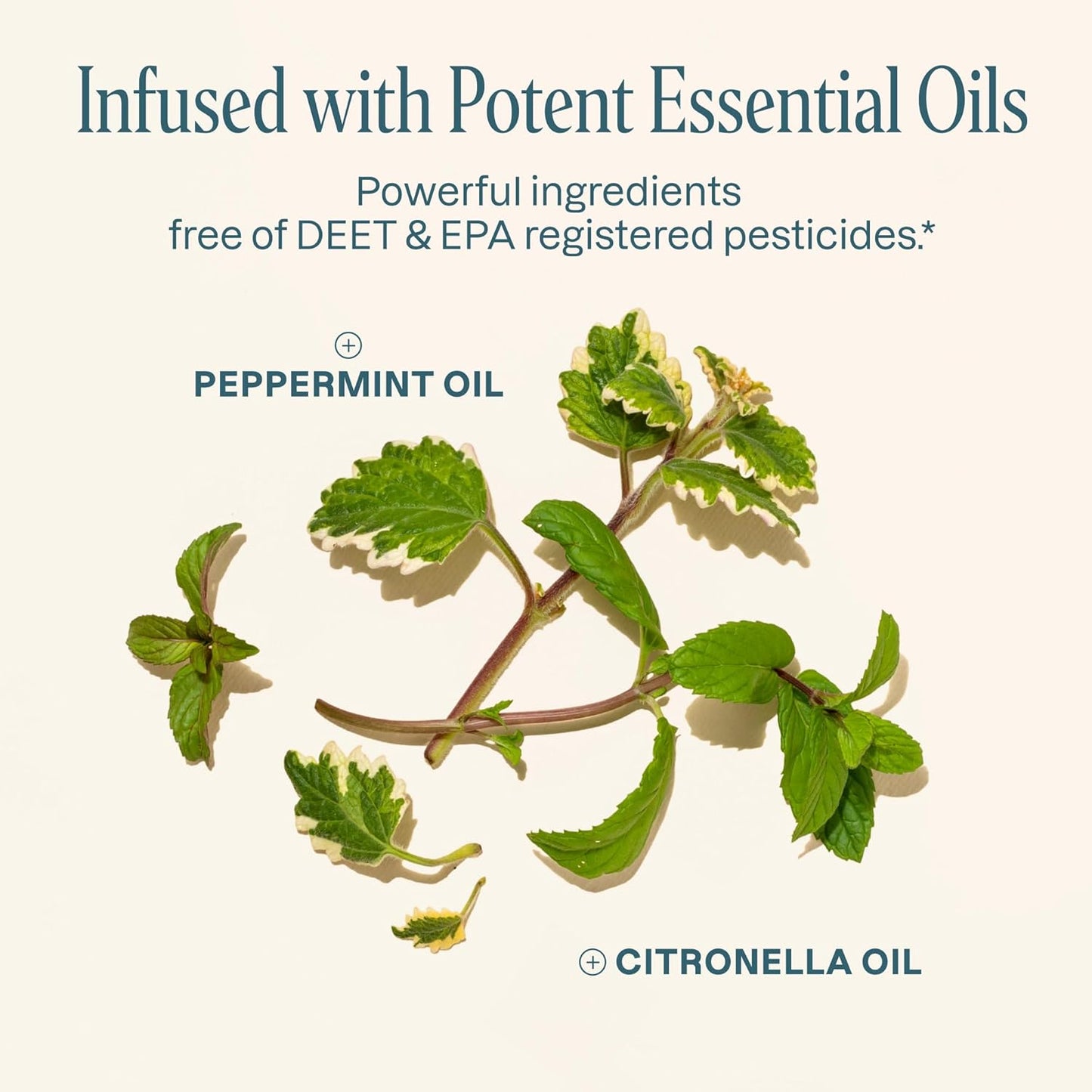 Cliganic Mosquito Repellent Stickers (180 Pack) - Patches for Kids & Adults, Natural DEET-Free, Citronella Essential Oil Infused