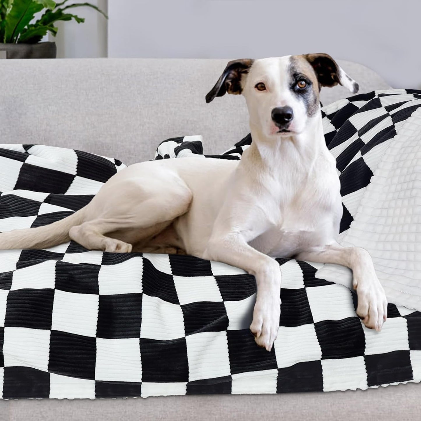 HOMRITAR Black and White Baby Blanket for Boys Ultra Soft Warm Lightweight Toddler Blanket with High Contrast Checkered, 3D Double Layer Fleece for Newborn Visual Touch Sensory 30x40 Inch