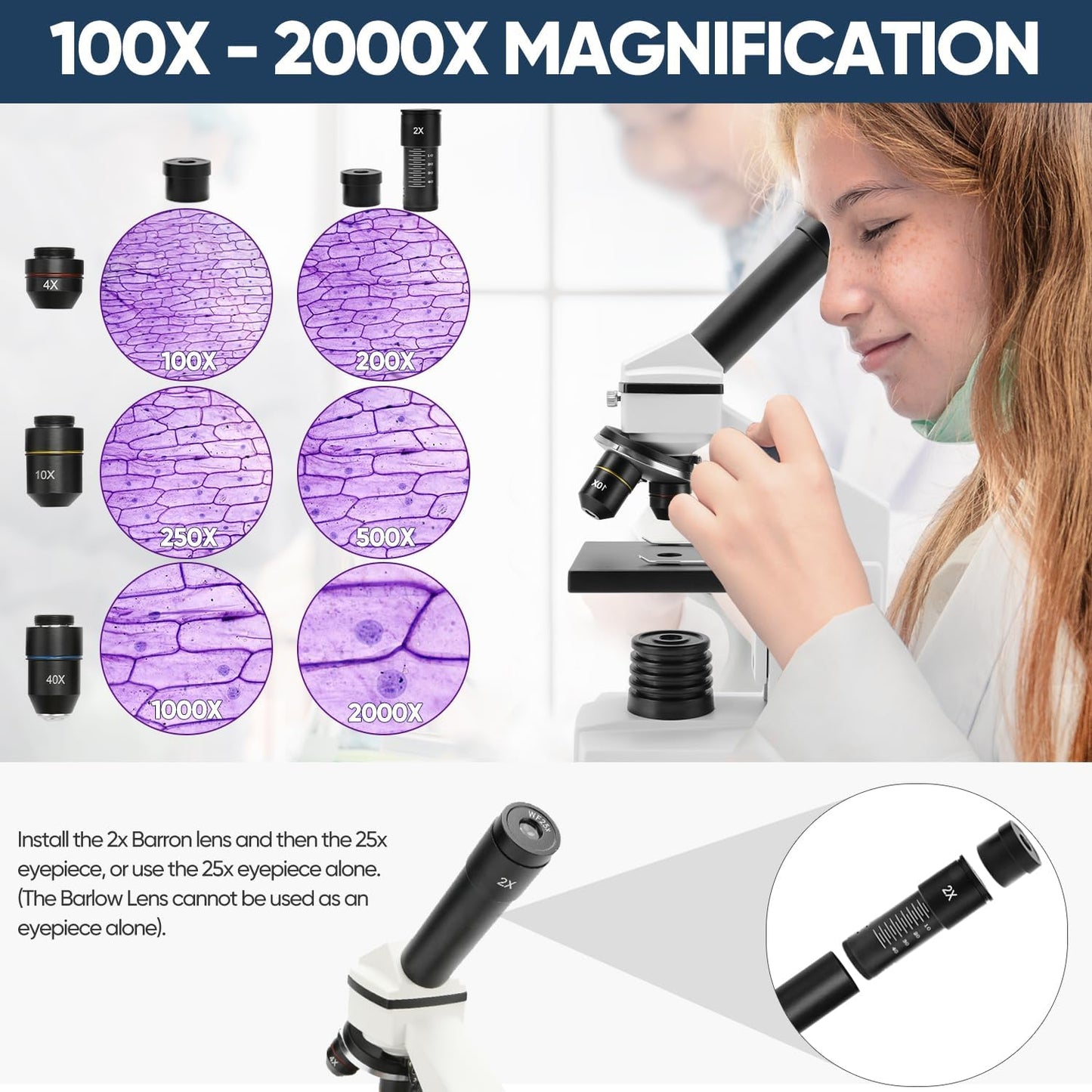 Microscope for Adults Kids, Dcorn 100X-2000X Powerful Biological Microscopes for School, Home, and Lab Use, Includes Microscope Slides Set and Phone Adapter.