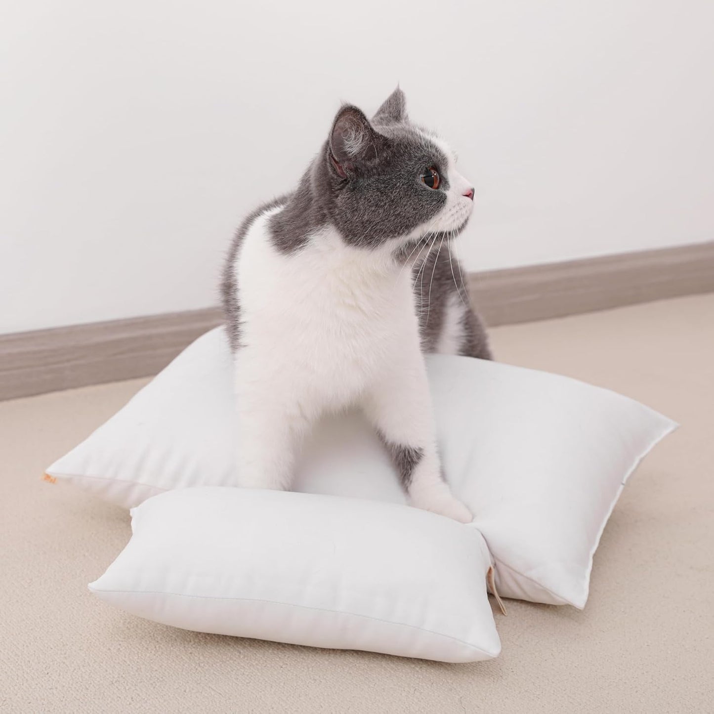 NTBAY Tiny Pillows, Down Alternative 7"x11" Microfiber Mini Pillow for Travel, Pets, Soft Machine Washable Small Pillows for Neck, Wrist, Lumbar and Knee, Black