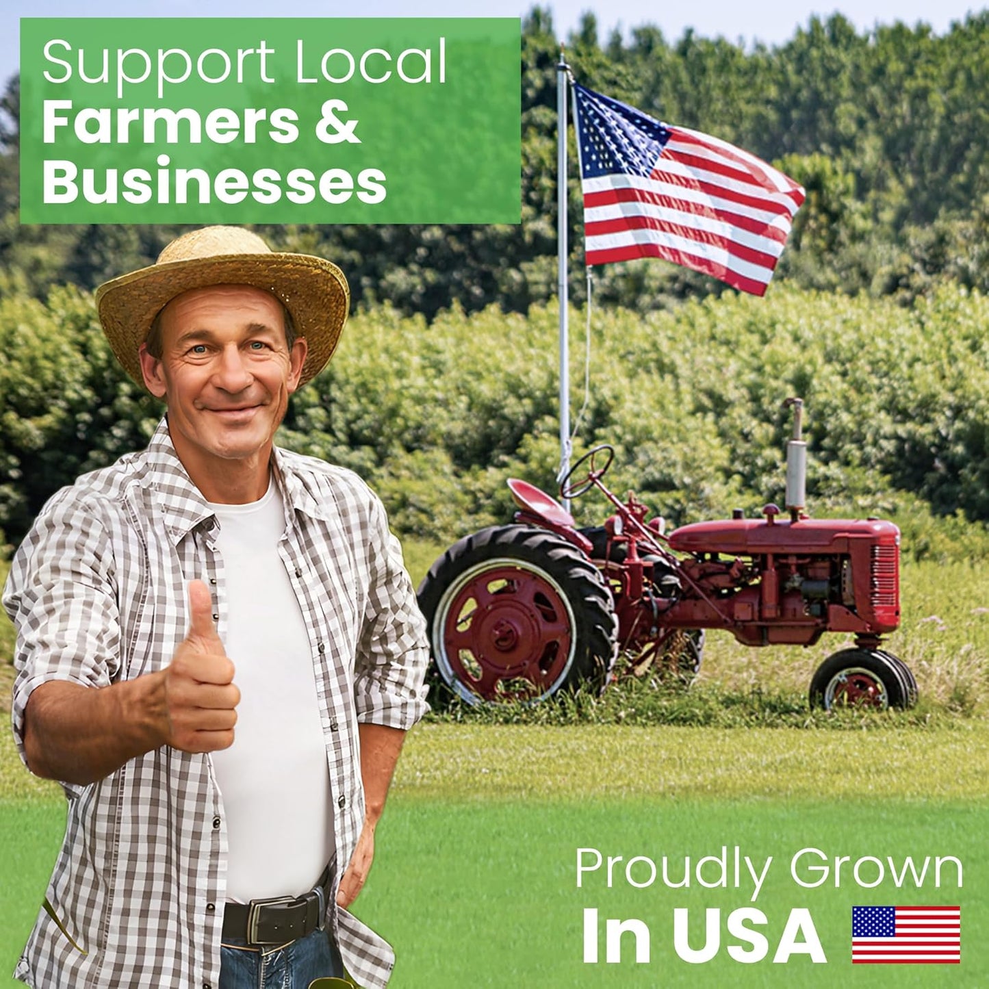 Bean Products Kapok 13" x 18" Toddler Pillow - Breathable, Eco-Friendly and Durable Organic Cotton Fabric Bed Pillow - Soft and Supportive Pillow for Sleeping, Made in The USA