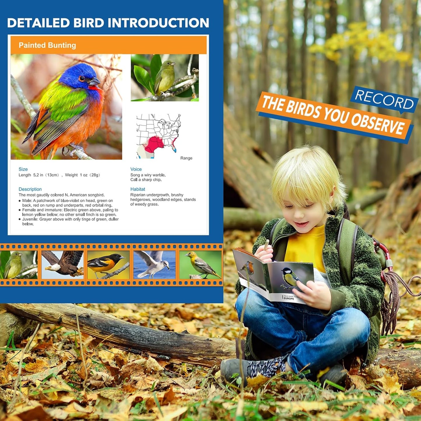 Toys for 3-7 Year Old Boys: LET'S GO! Binoculars for Kids with Bird Watching Manual Easter Birthday Gifts for 4 5 6 7 8 Year Old Boy Girls Outdoor Toy for Kid Ages 5-7 Toddler Camping Telescope