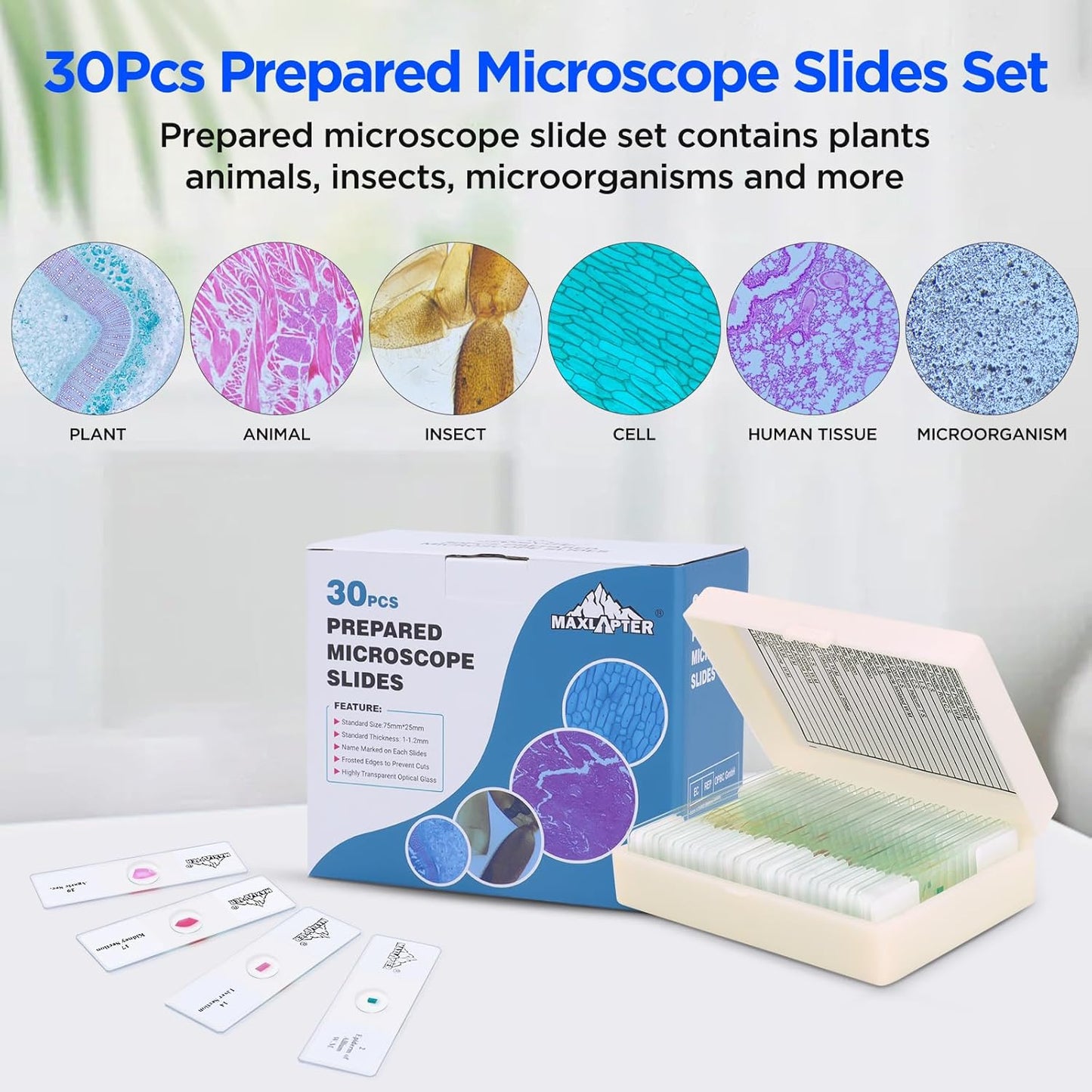 30 Microscope Slides with Specimens, Prepared Microscope Slides Set with Plants Animals Insects for Adults Students Homeschool Basic Biological Science Education