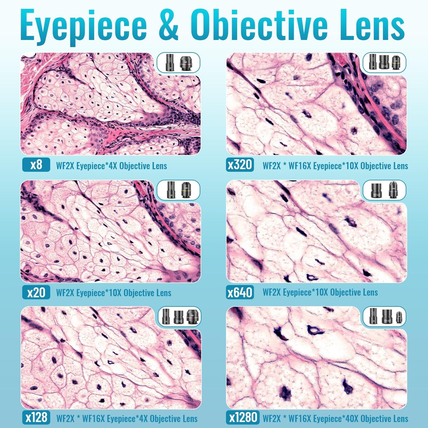 Microscope for Kids Starter Adults 64X-1280X Metal Monocular Microscope for Students School Home Education LED Lights Phone Holder Microscope Kit