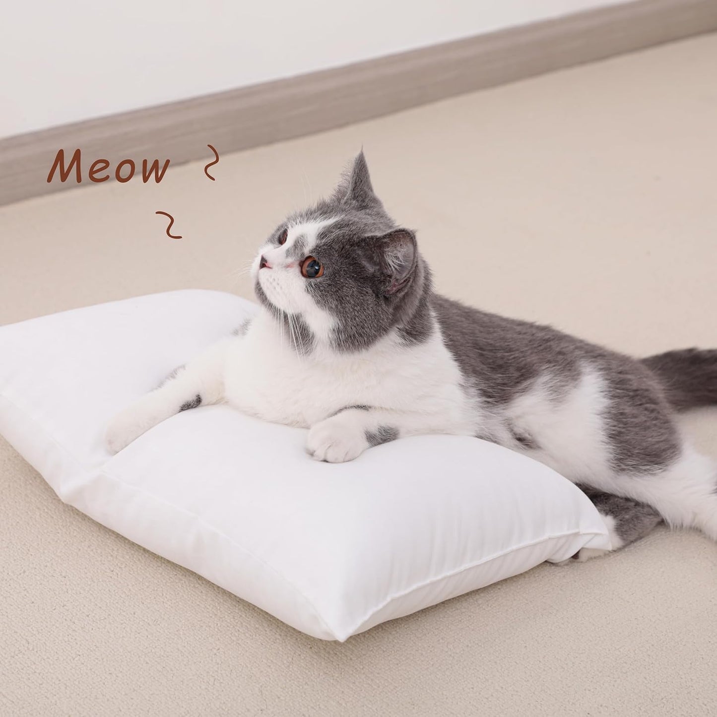 NTBAY Toddler Pillows, Down Alternative 13"x18" Pillow, Machine Washable - Soft and Breathable Travel Small Pillows for Sleeping, Ideal for Daycare, Crib, Cot, Dark Grey