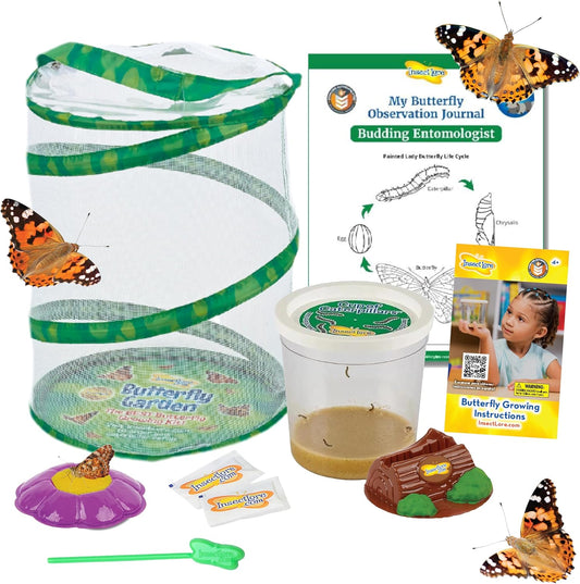 Insect Lore Butterfly Garden Kit - 5 Live Baby Caterpillars, Habitat, Feeder, Chrys-A-Lid Log, STEM Journal Included - Grow, Raise and Release Painted Lady Butterflies