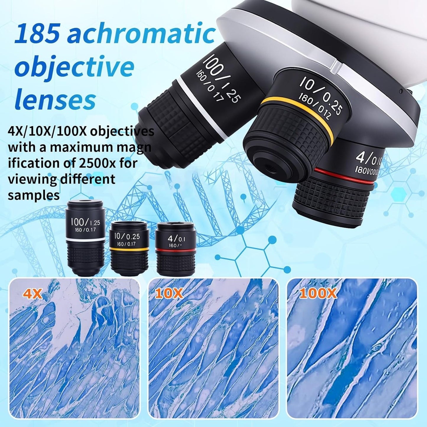 Binocular Microscope Magnification 40X-2500X, WF10x and WF25x Eyepieces, Dual LED Illumination, Suitable for Schools Home Labs Educational Adult Microscope