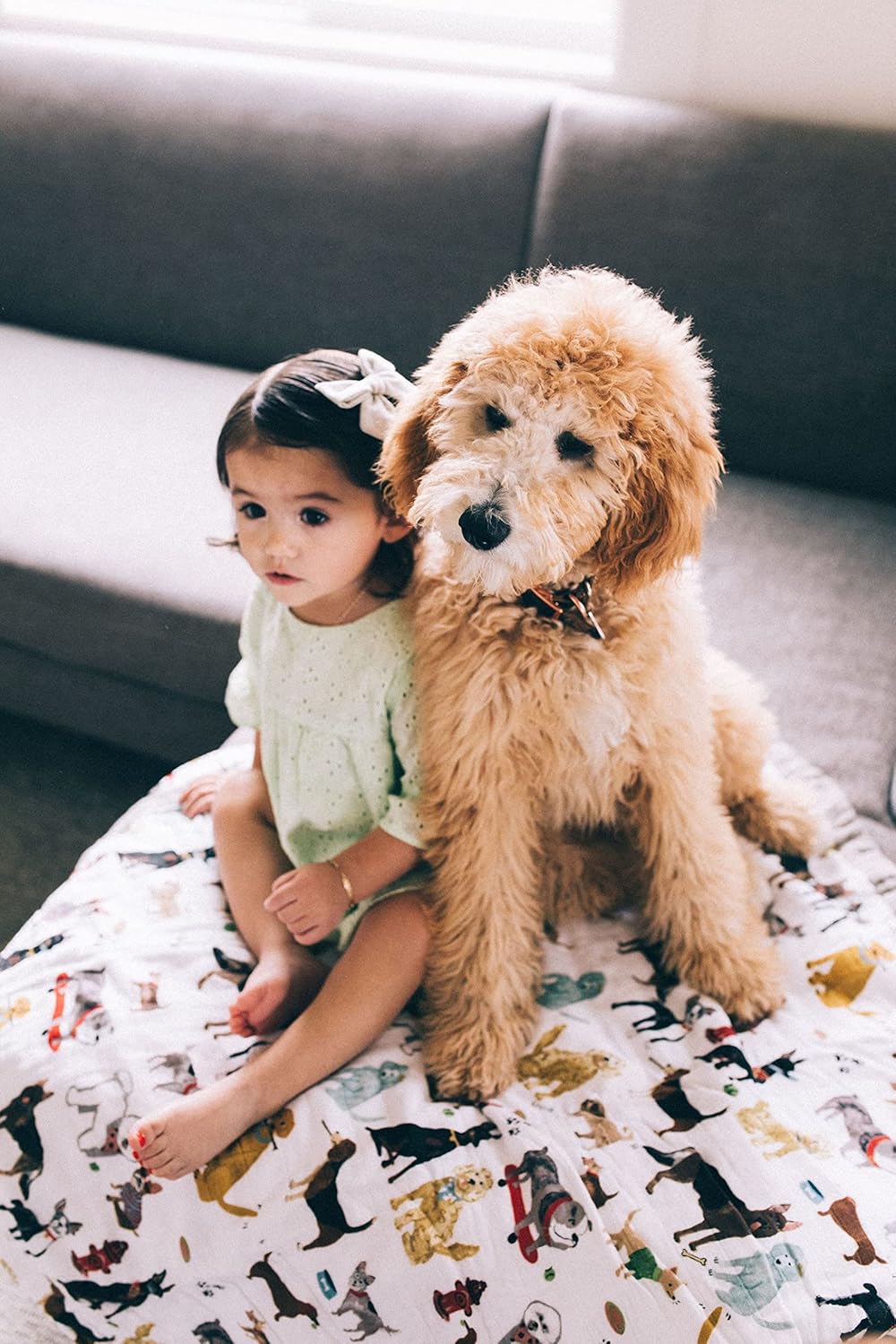 Little Unicorn Premium Quilted Throw | Super Soft, Multi-Layered Muslin XL Blanket| Great for Kids & Families (Woof)