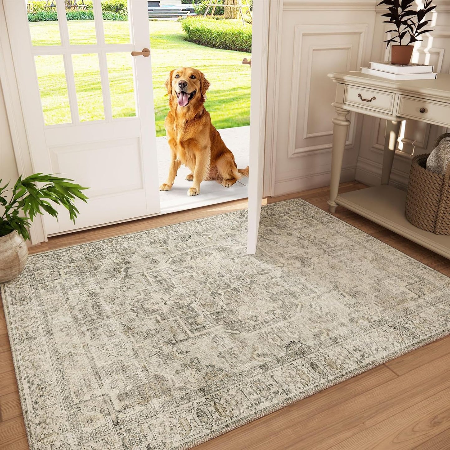 Machine Washable Throw Rugs for Entryway: Door Mat Indoor Entrance 3x5 Small Rug Stain Resistant Non-Slip Low Pile Soft Carpet for Kitchen Front Door Indoor Entry Bathroom Bedroom