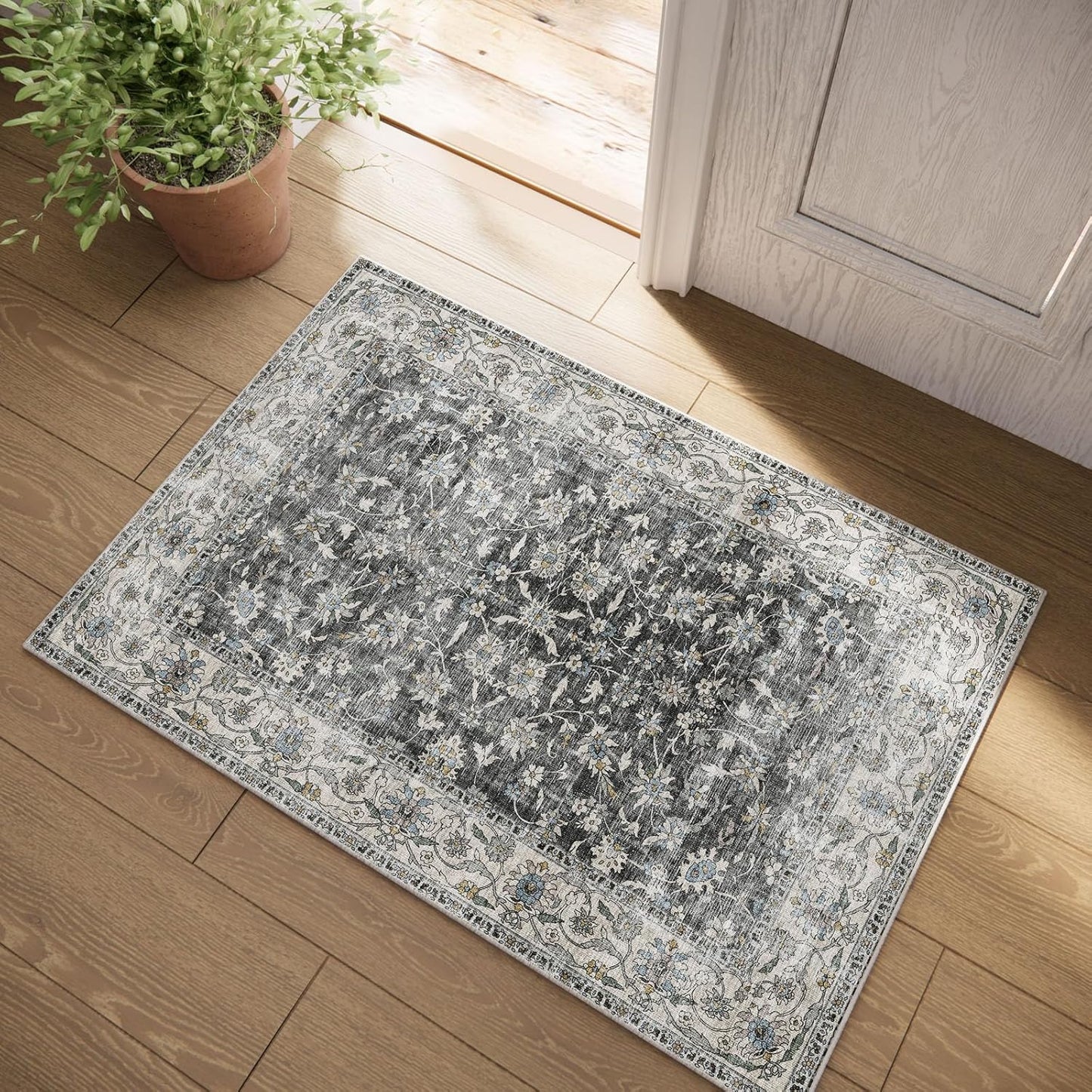 Washable Small Area Rugs for Entryway: Door Mat Indoor Entrance 2x3 Throw Rug Stain Resistant Non-Slip Low Pile Soft Carpets for Kitchen Front Door Indoor Entrance Entry Bedroom