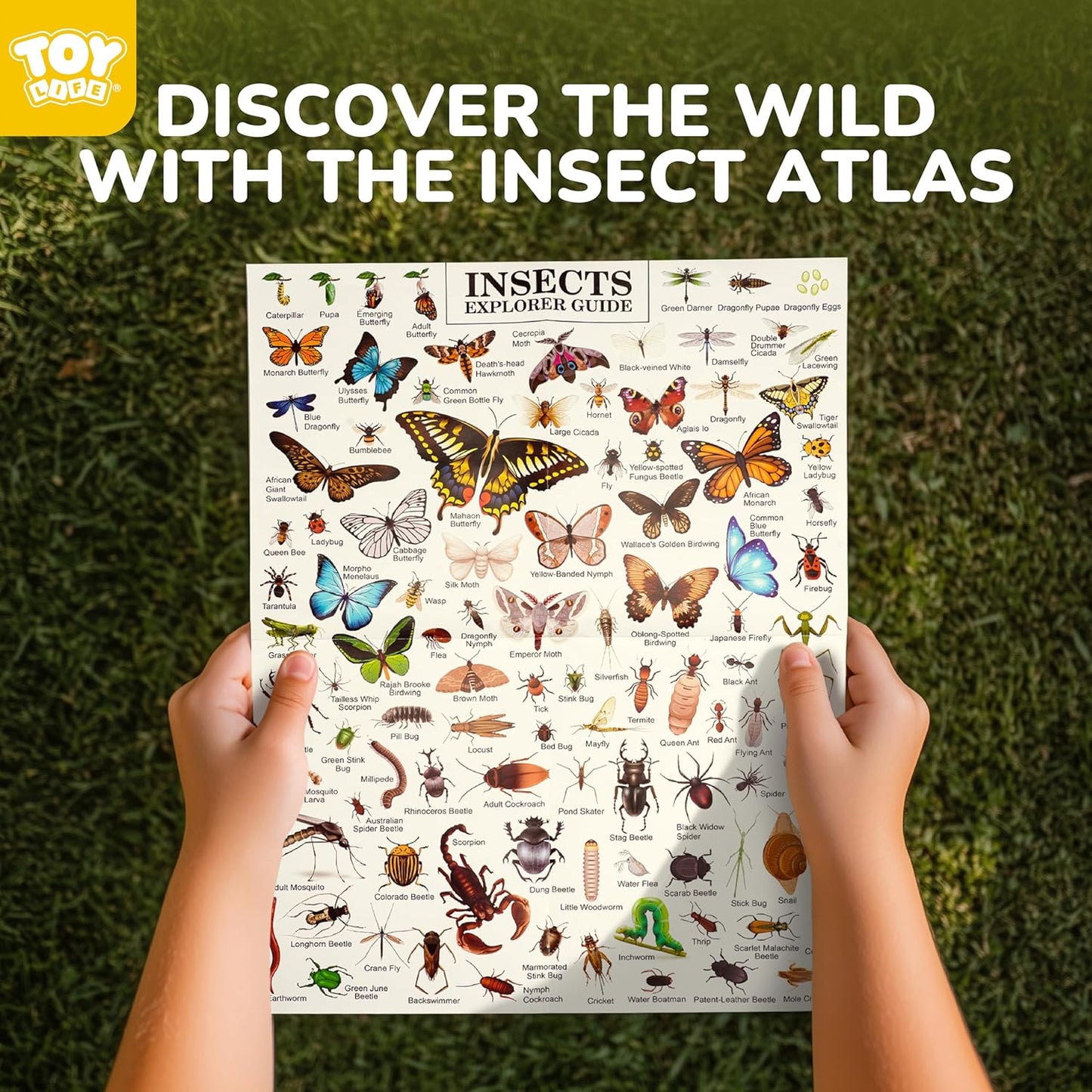 TOY Life Kids Explorer Bug Catcher Kit with Safari Costume, Binoculars Kids Outdoor Toys, Bug Toys, Butterfly Net, Camping Set Outdoor Activities Adventure Kit Nature Exploration Gifts Kid Ages 3-12