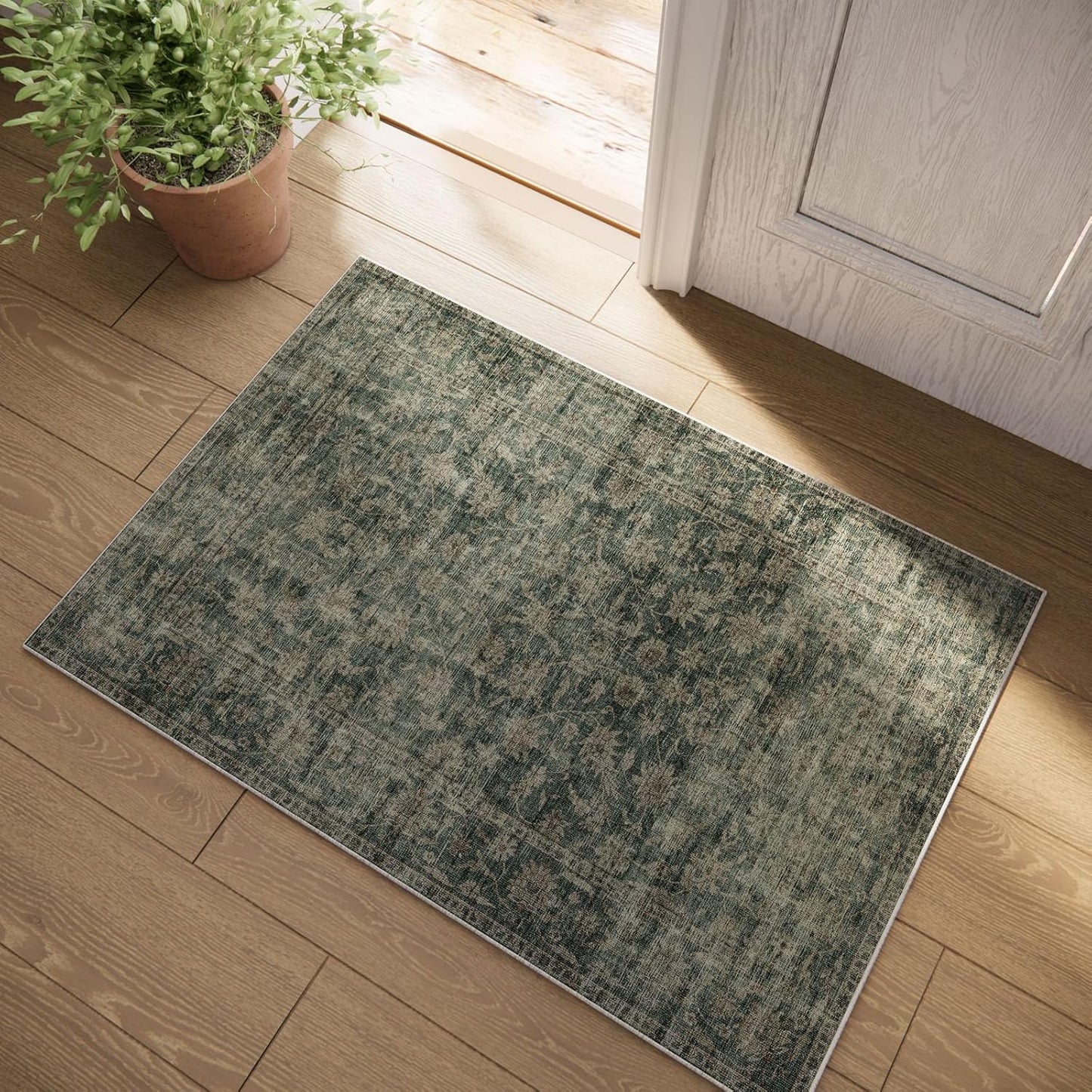 Machine Washable Throw Rugs for Entryway: Door Mat Indoor Entrance 2x3 Rug Boho Small Area Rug Non-Slip Low Pile Kitchen Rug for Front Door Indoor Entrance Entry Kids Room